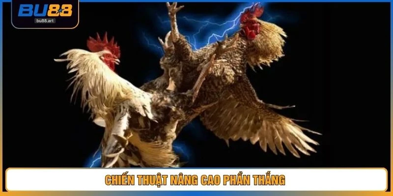 Chiến thuật nâng cao phần thắng 