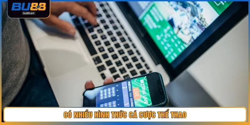 Có nhiều hình thức cá cược thể thao