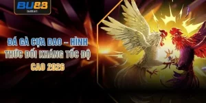 Đá Gà Cựa Dao – Hình Thức Đối Kháng Tốc Độ Cao 2026
