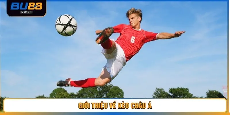 Giới thiệu về kèo châu Á