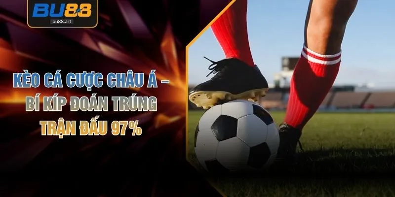 Kèo Cá Cược Châu Á – Bí Kíp Đoán Trúng Trận Đấu 97%