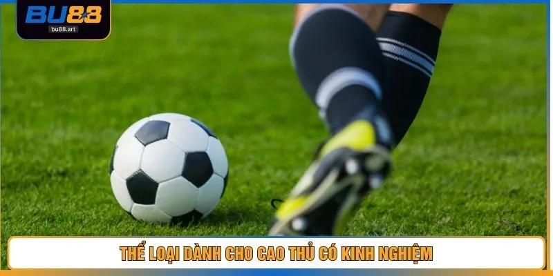 Thể loại dành cho cao thủ có kinh nghiệm