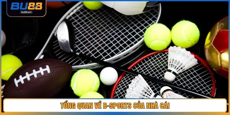 Tổng quan về B-Sports của nhà cái