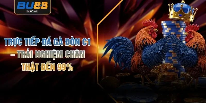 Trực Tiếp Đá Gà Đòn C1 – Trải Nghiệm Chân Thật Đến 99%
